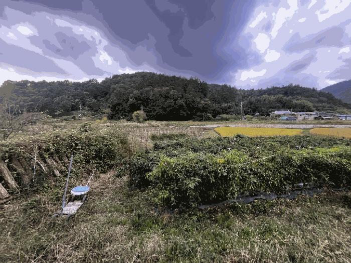 2025타경6095 법원경매 사진7 | 전남 나주시 임야 경매