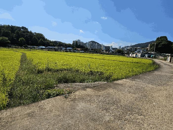 2025타경6200 법원경매 사진2 | 전남 나주시 답 경매
