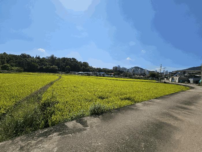 2025타경6200 법원경매 사진3 | 전남 나주시 답 경매