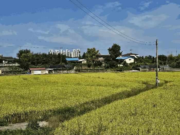 2025타경6200 법원경매 사진4 | 전남 나주시 답 경매
