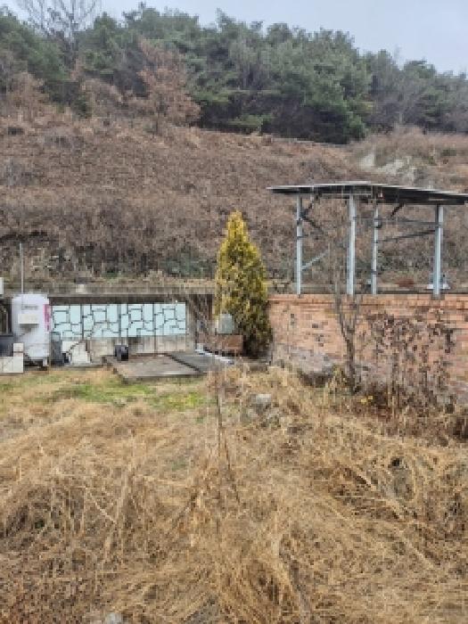 2025타경6767 법원경매 사진7 | 전남 장성군 주택건물 경매