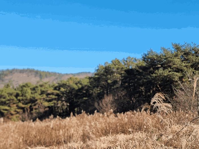 전라남도 화순군 도암면 천태리 산143-1 법원경매 물건 대표사진