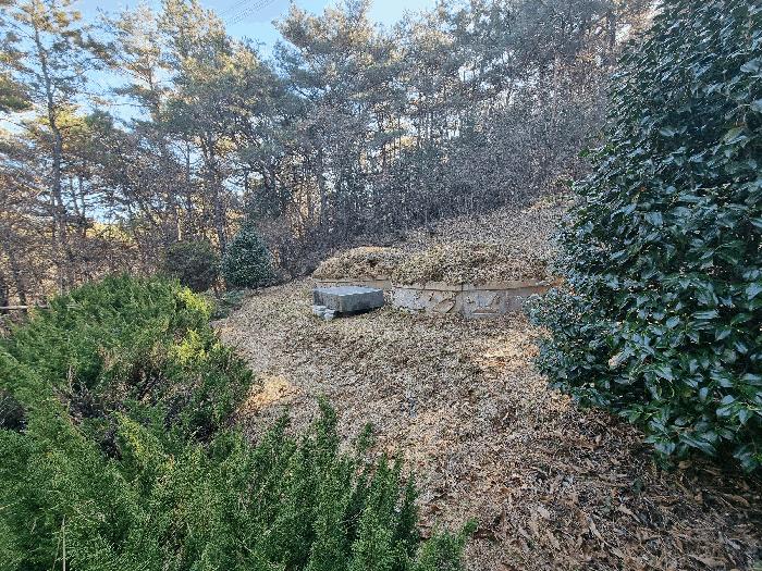 2025타경34419 법원경매 사진4 | 전남 화순군 전 경매