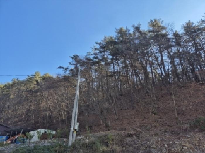 법원경매 2025타경34464 사진5 | 화순군 백아면 방리 임야 경매