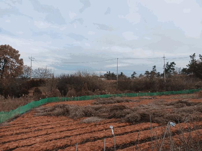 2025타경34673 법원경매 사진2 | 전남 나주시 대지,임야,전답 경매