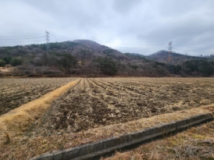 법원경매 2025타경34783 사진8 | 담양군 가사문학면 가암리 임야 경매