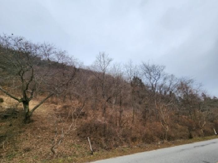 2025타경34783 법원경매 사진7 | 전남 담양군 대지,임야,전답 경매
