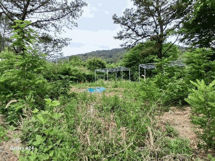 2025타경2864 법원경매 사진3 | 전남 담양군 대지,임야,전답 경매