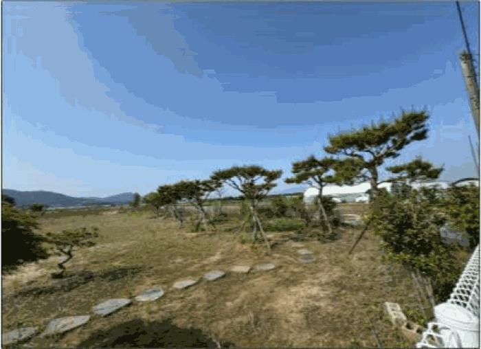 법원경매 2025타경3096 사진2 | 광주 서구 벽진동 628-9 답 경매