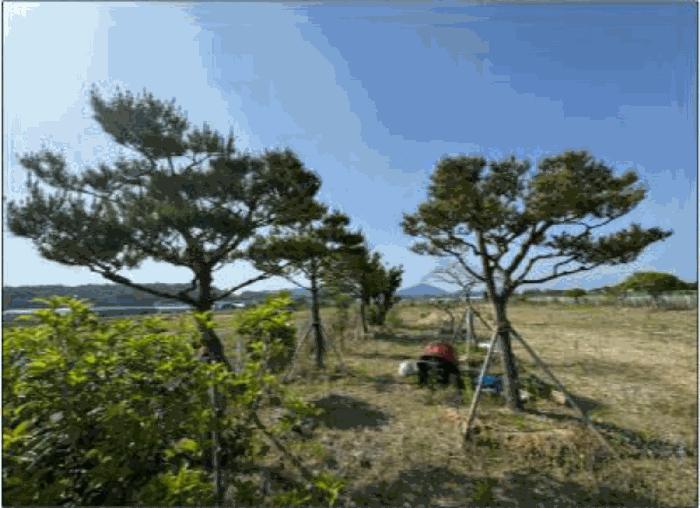 법원경매 2025타경3096 사진5 | 광주 서구 벽진동 628-9 답 경매