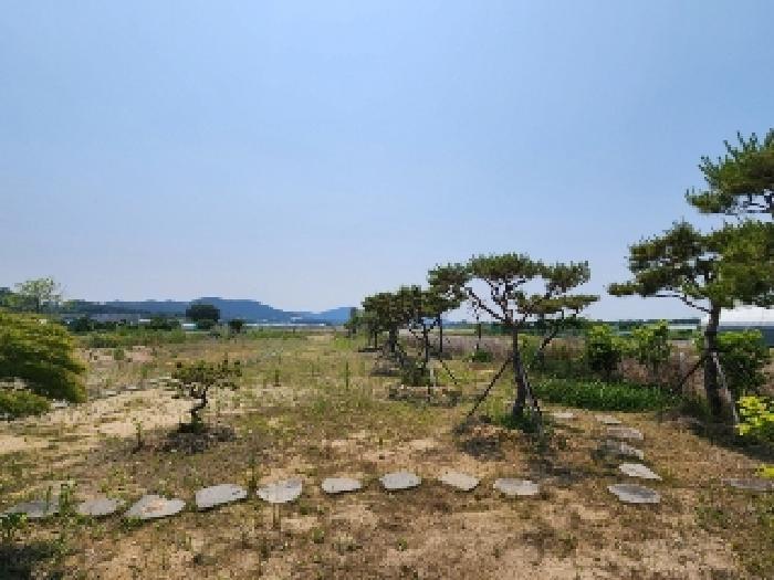 법원경매 2025타경3096 사진8 | 광주 서구 벽진동 628-9 답 경매