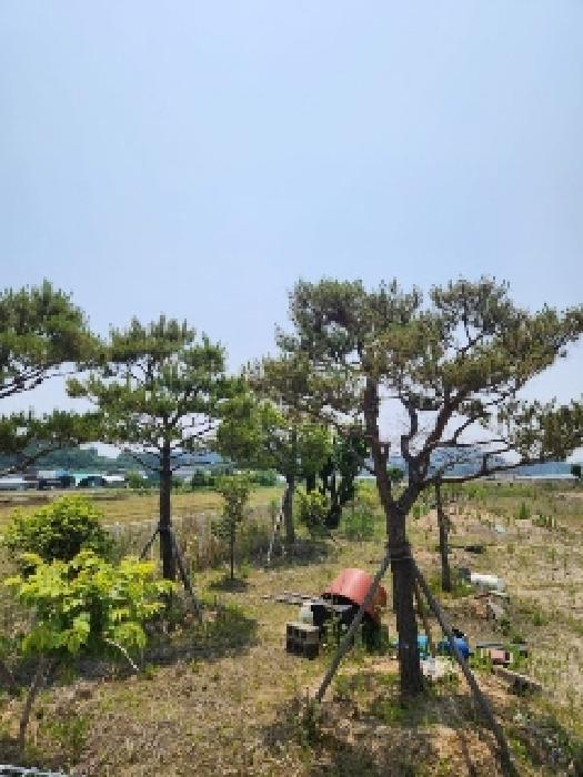 법원경매 2025타경3096 사진9 | 광주 서구 벽진동 628-9 답 경매