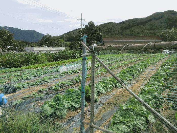 2025타경5863 법원경매 사진7 | 전남 곡성군 답 경매
