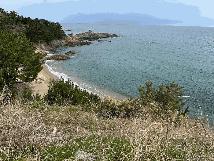 법원경매 2025타경448 사진6 | 영덕군 남정면 부흥리 2-5 대지 경매