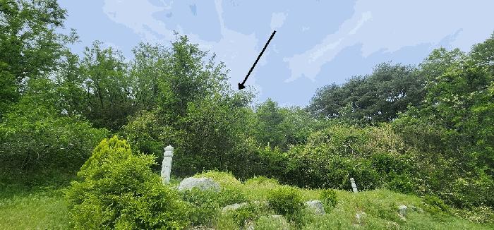 2025타경462 법원경매 사진2 | 경북 울진군 전답 경매
