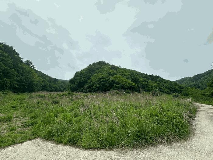 경상북도 영양군 청기면 토곡리 838 법원경매 물건 대표사진