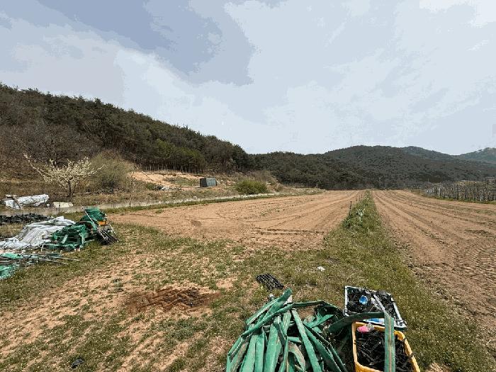 경북 영덕군 창수면 신기리 446-2 전 경매 물건 사진