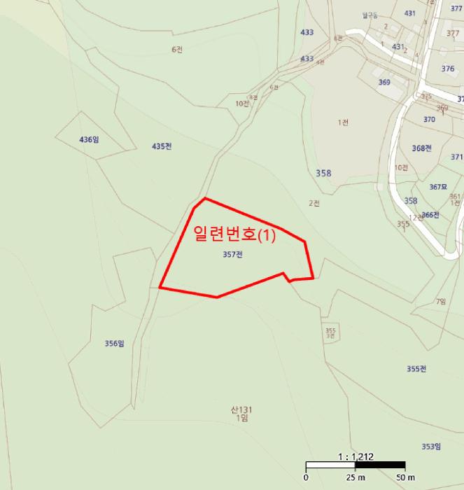 2025타경10209 법원경매 사진5 | 경북 영양군 전 경매