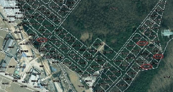 법원경매 2025타경1242 사진7 | 용인시 처인구 양지면 송문리 임야 경매