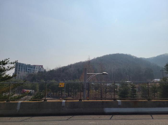 법원경매 2025타경688 사진5 | 성남시 분당구 운중동 임야 경매