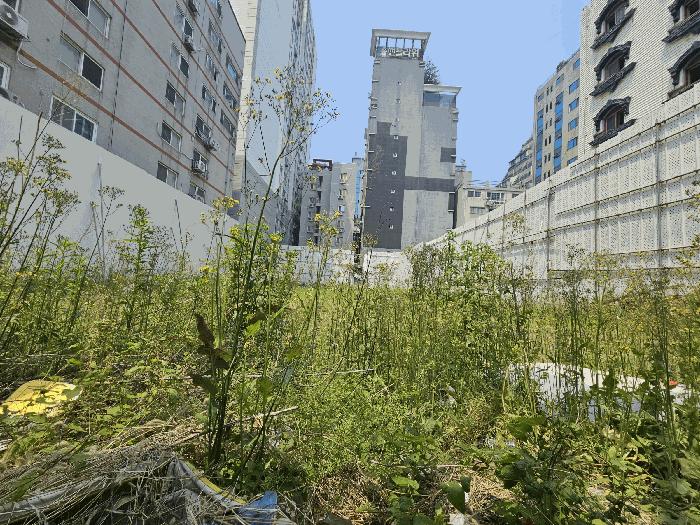 2025타경509268 법원경매 사진3 | 인천 미추홀구 대지 경매