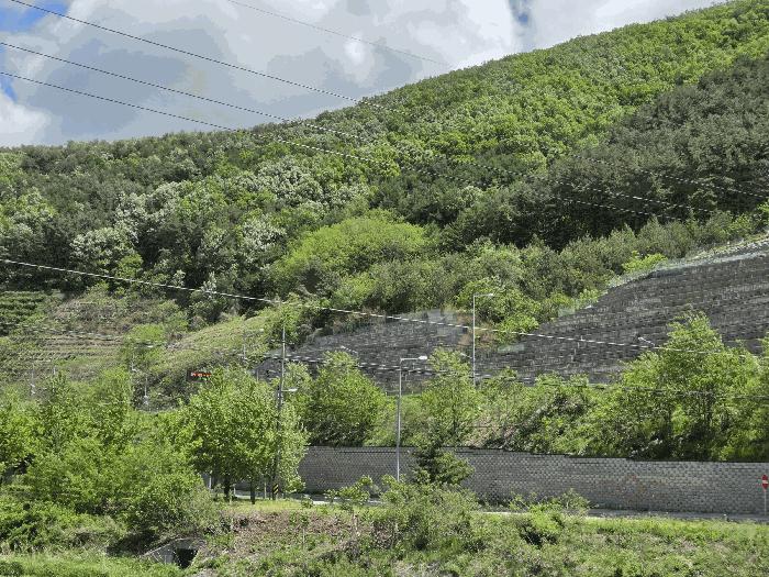 법원경매 2025타경200 사진2 | 삼척시 도계읍 고사리 181-2 전 경매