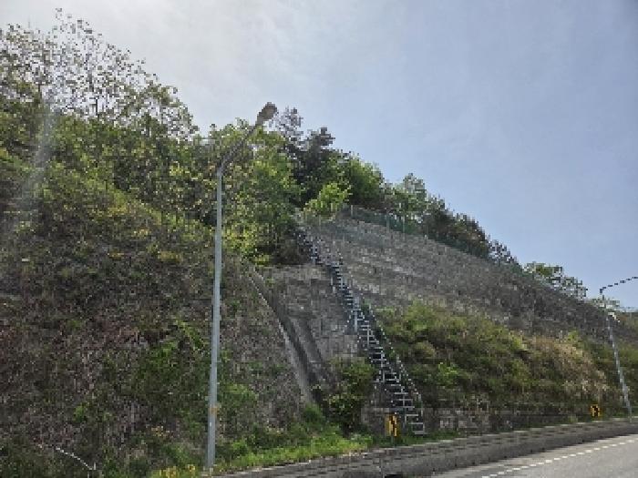 법원경매 2025타경200 사진3 | 삼척시 도계읍 고사리 181-2 전 경매