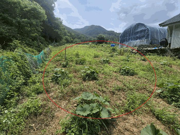 법원경매 2025타경52365 사진7 | 광주시 초월읍 무갑리 271-1 답 경매