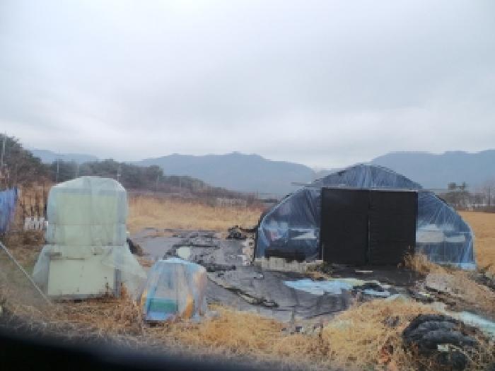 법원경매 2025타경51011 사진10 | 춘천시 신북읍 산천리 877-10 전 경매