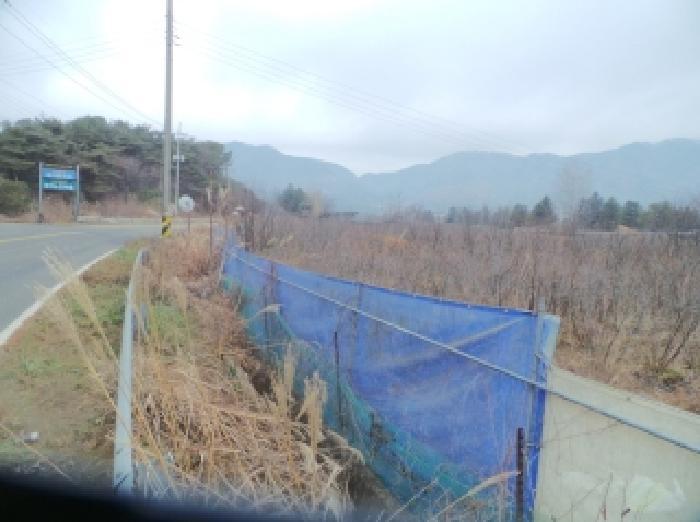 법원경매 2025타경51011 사진11 | 춘천시 신북읍 산천리 877-10 전 경매