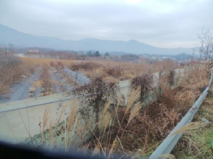 법원경매 2025타경51011 사진12 | 춘천시 신북읍 산천리 877-10 전 경매