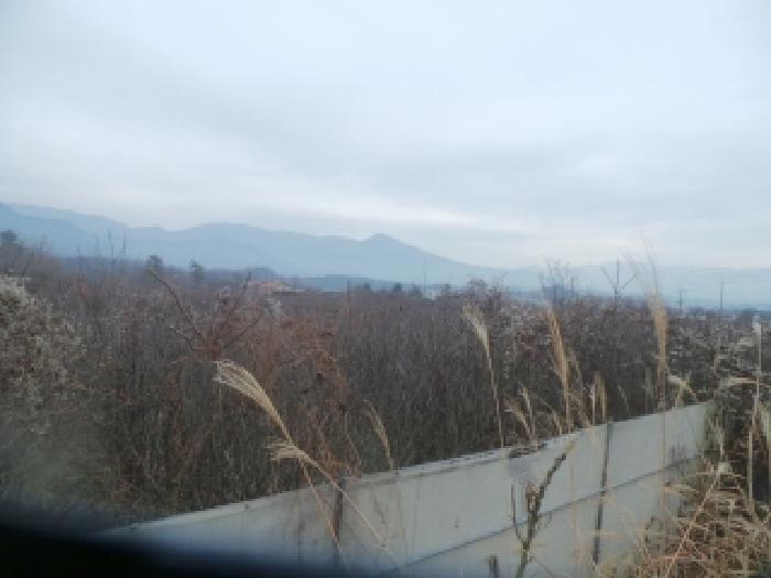 법원경매 2025타경51011 사진17 | 춘천시 신북읍 산천리 877-10 전 경매