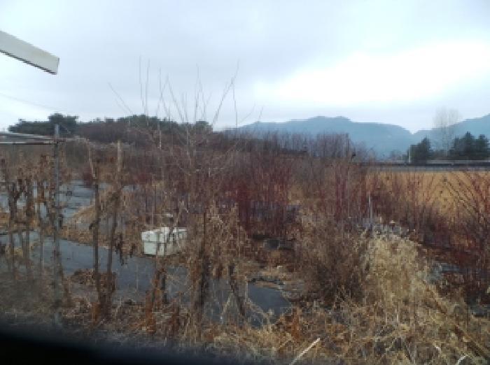 법원경매 2025타경51011 사진30 | 춘천시 신북읍 산천리 877-10 전 경매