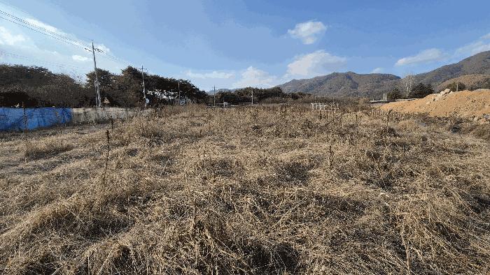 법원경매 2025타경51011 사진5 | 춘천시 신북읍 산천리 877-10 전 경매