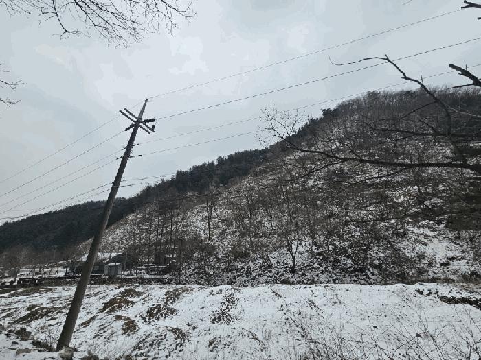 강원특별자치도 홍천군 서면 동막리 산106 법원경매 물건 대표사진
