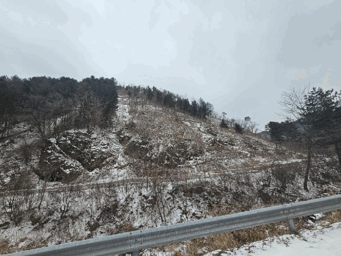 법원경매 2025타경51063 사진2 | 홍천군 서면 동막리 임야 경매