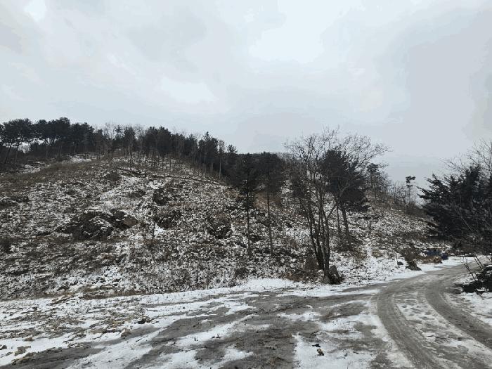 법원경매 2025타경51063 사진3 | 홍천군 서면 동막리 임야 경매