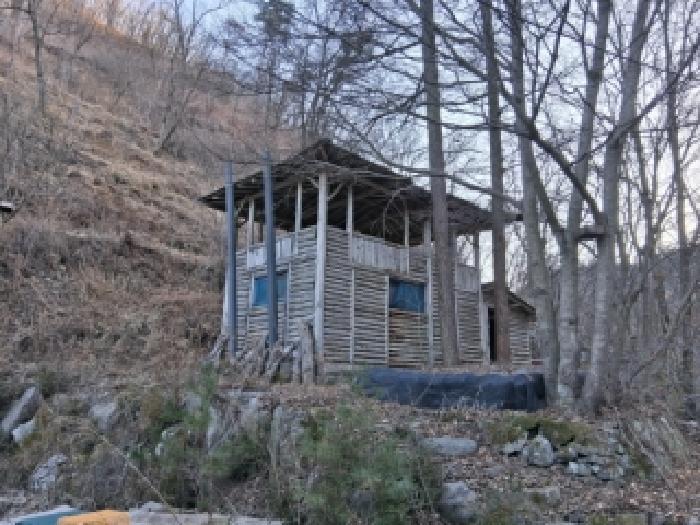 법원경매 2025타경51063 사진7 | 홍천군 서면 동막리 임야 경매