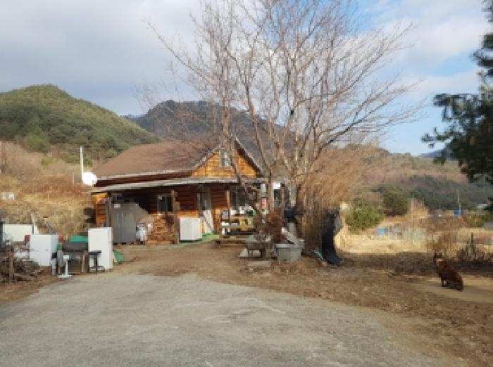 법원경매 2025타경51069 사진2 | 인제군 기린면 진동리 719 주택건물 경매