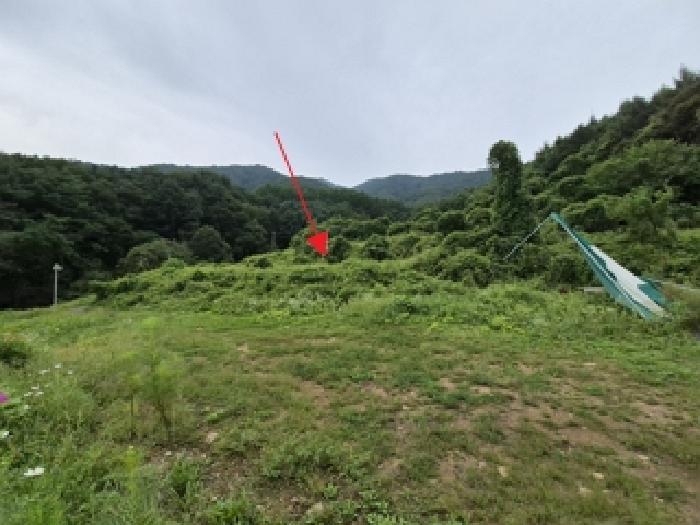 강원특별자치도 원주시 판부면 신촌리 1092-3 법원경매 물건 대표사진
