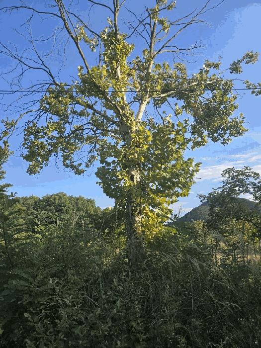 2024타경33517 법원경매 사진25 | 충북 충주시 기타 경매
