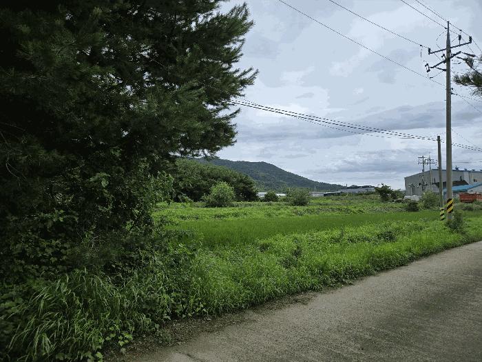 2025타경439 법원경매 사진2 | 충남 논산시 전 경매