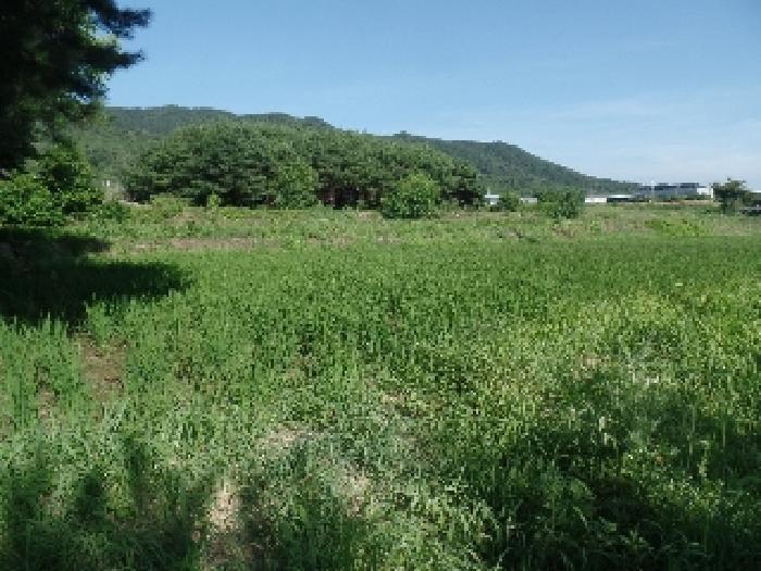 2025타경439 법원경매 사진4 | 충남 논산시 전 경매