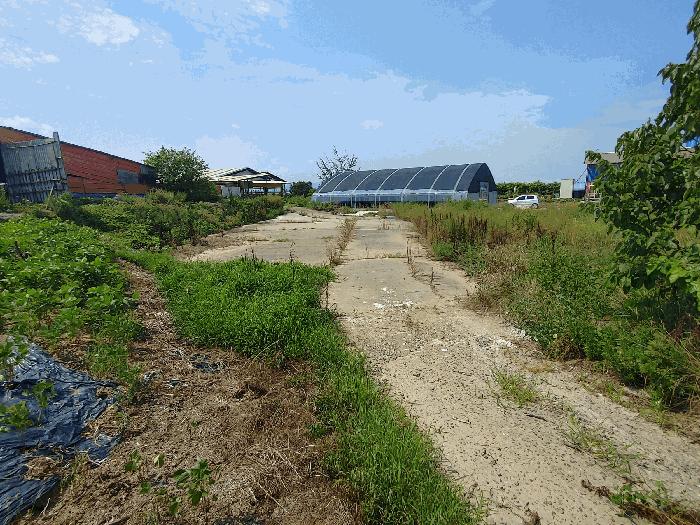 충청남도 부여군 규암면 내리 772-8 법원경매 물건 대표사진