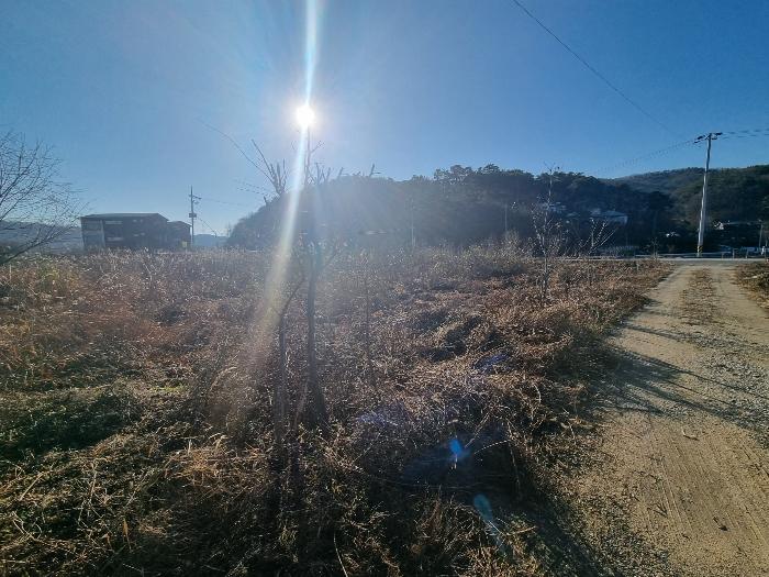 2024타경35704 법원경매 사진6 | 충북 충주시 전 경매