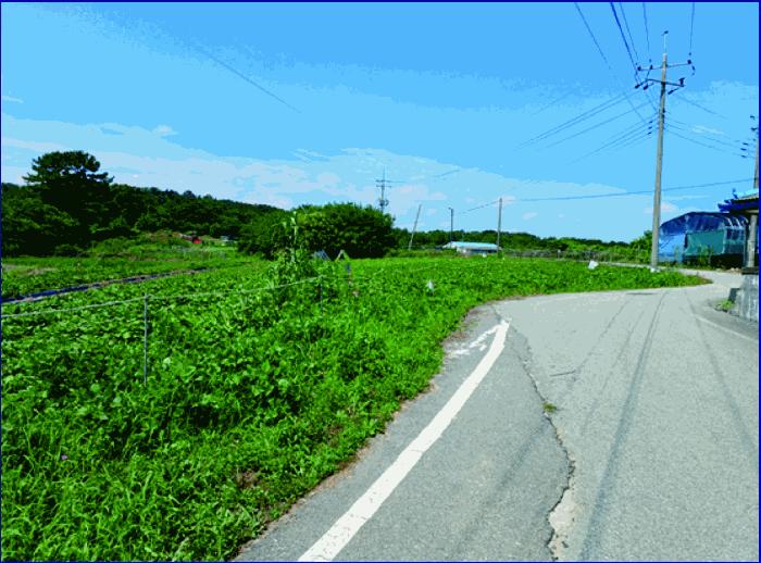 2025타경455 법원경매 사진4 | 충남 부여군 대지 경매