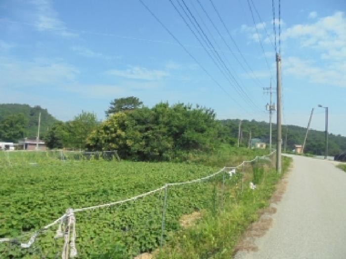 2025타경455 법원경매 사진5 | 충남 부여군 대지 경매
