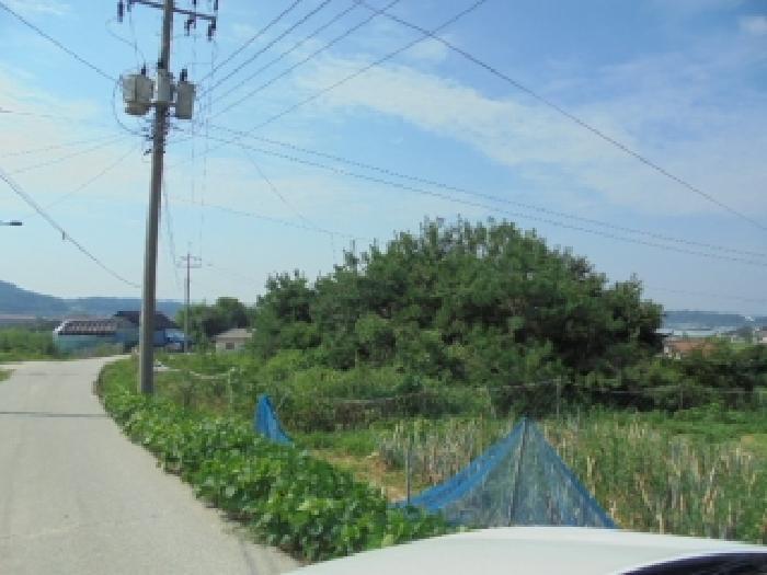 2025타경455 법원경매 사진6 | 충남 부여군 대지 경매