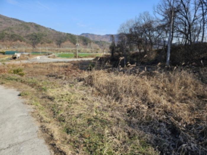2024타경35704 법원경매 사진24 | 충북 충주시 답 경매
