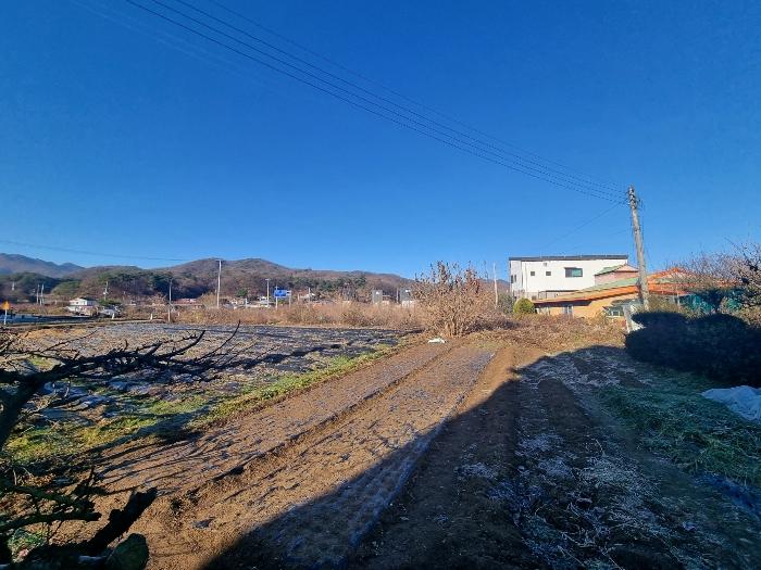 2024타경35704 법원경매 사진11 | 충북 충주시 전 경매